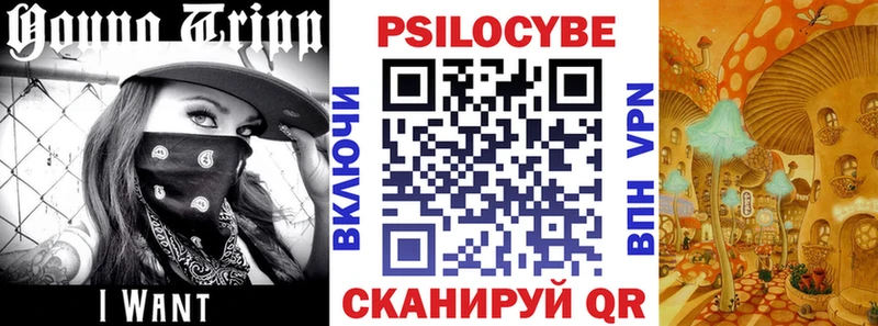 Псилоцибиновые грибы GOLDEN TEACHER  Купить закладки  Райчихинск 